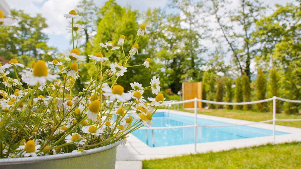 Aristotelia Gi Ikies - Olympiada Poolside Retreats Dış mekan fotoğraf